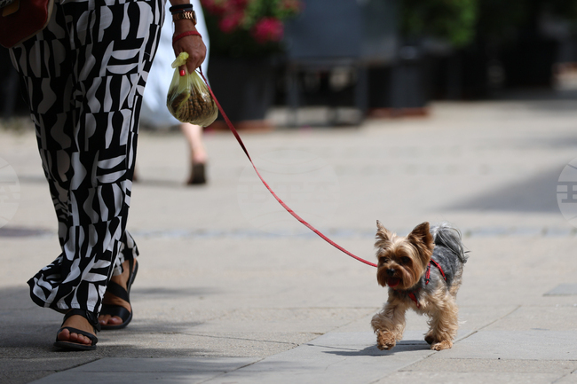 The Weather on September 2