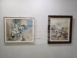 Плевен - Мая Бисеркова - изложба