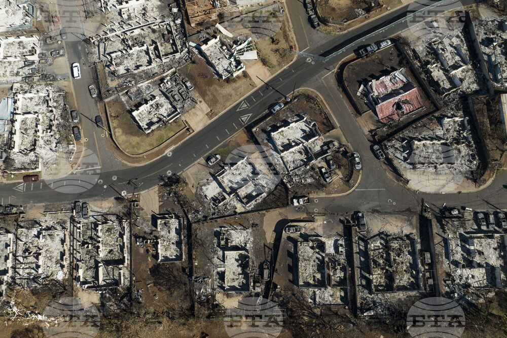 Hawaii Wildfire Toxins