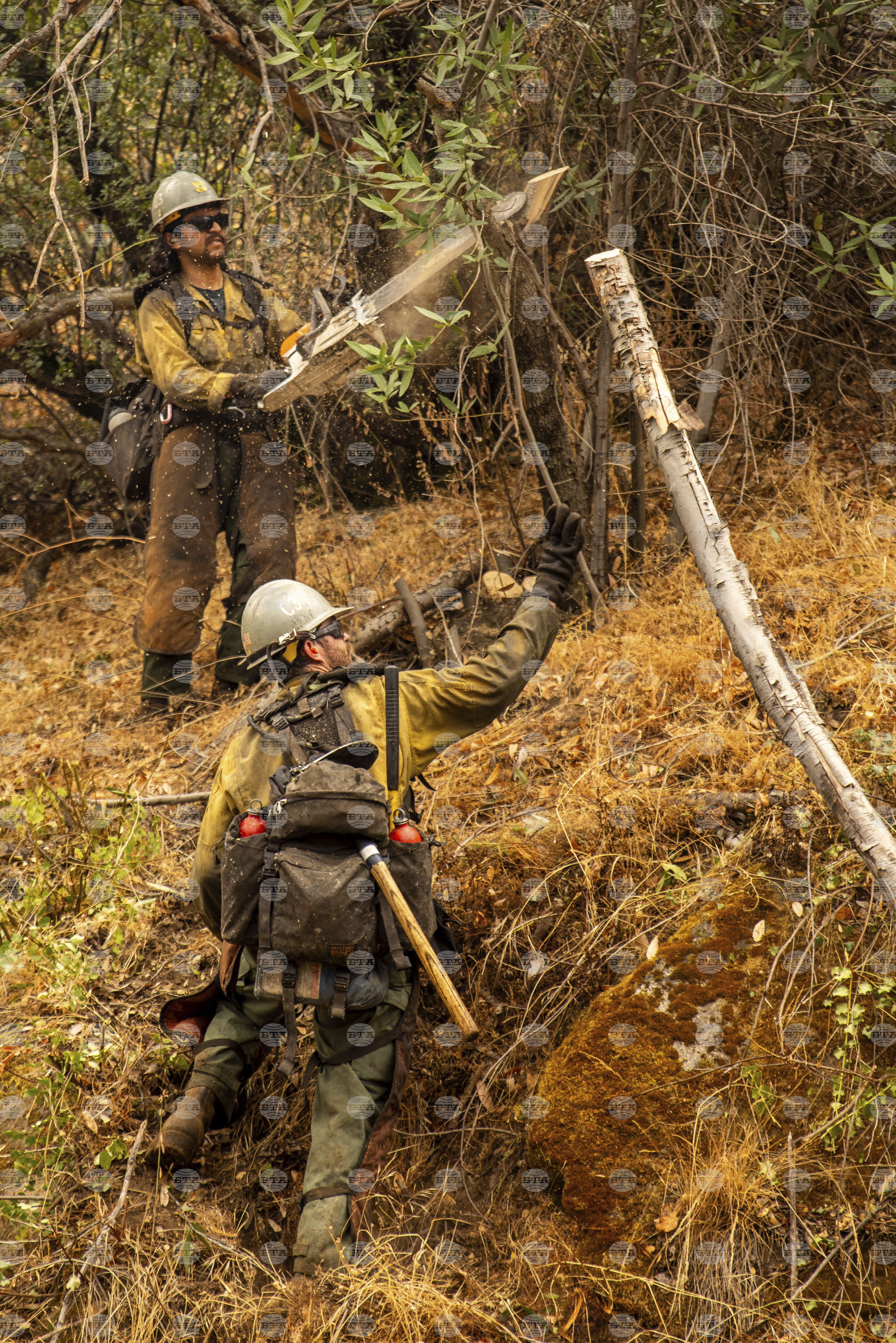 California Extreme Weather Wildfires