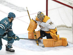 Predators Sharks Hockey