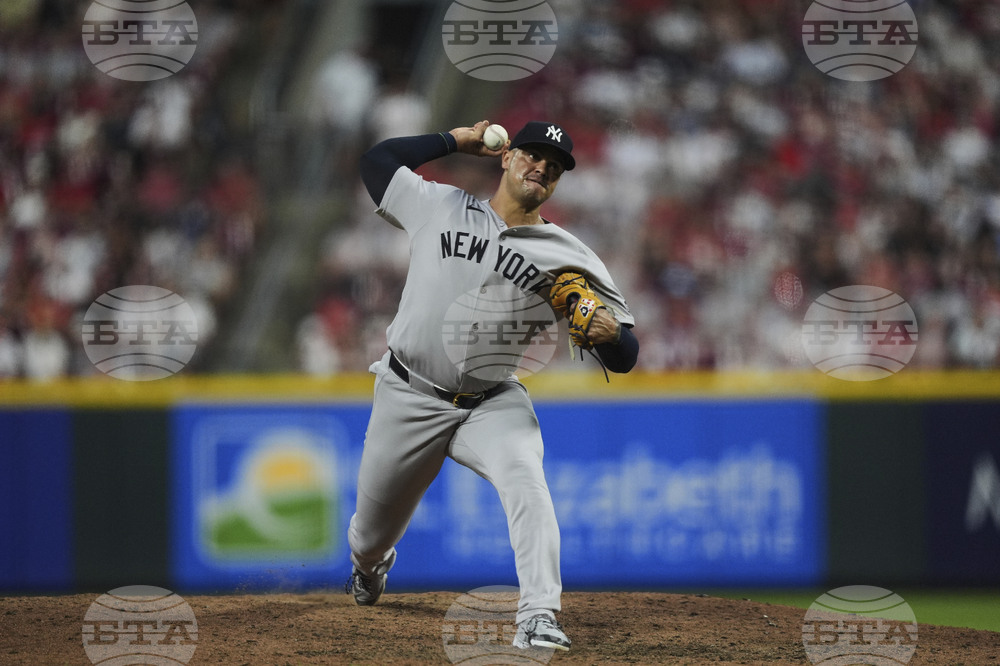 Yankees Cruz Baseball