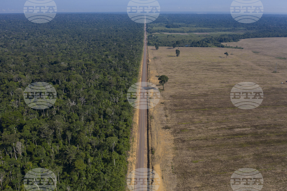 Brazil Deforestation Soy Explainer