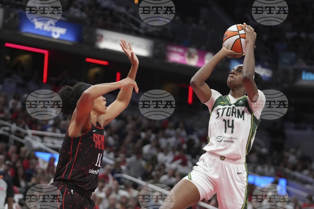 Storm Fever Basketball