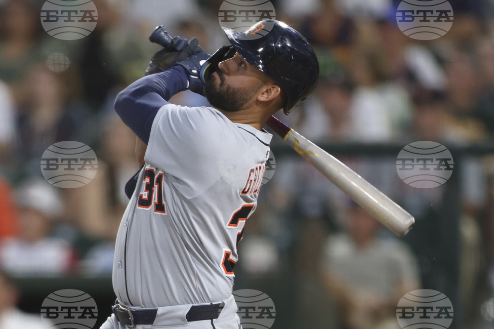 Tigers Athletics Baseball