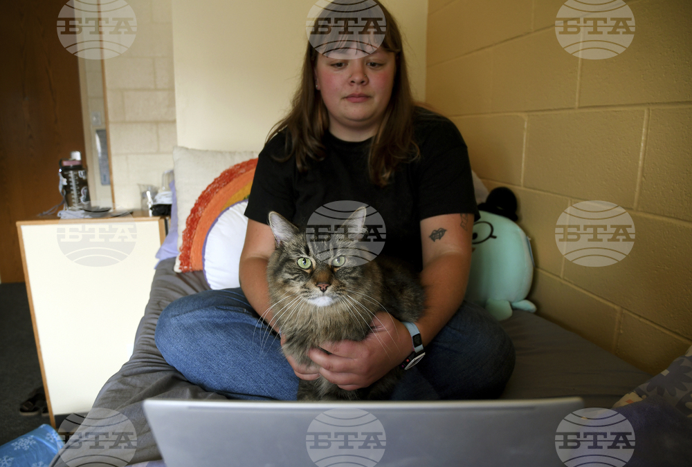 Be Well-Education-Pet-Friendly Dorms