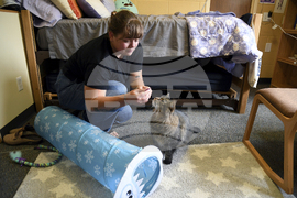 Be Well-Education-Pet-Friendly Dorms