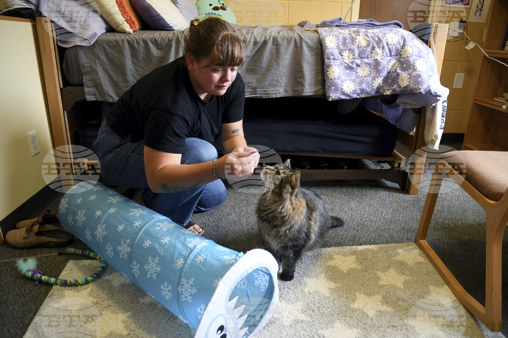 Be Well-Education-Pet-Friendly Dorms