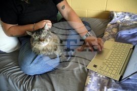 Be Well-Education-Pet-Friendly Dorms