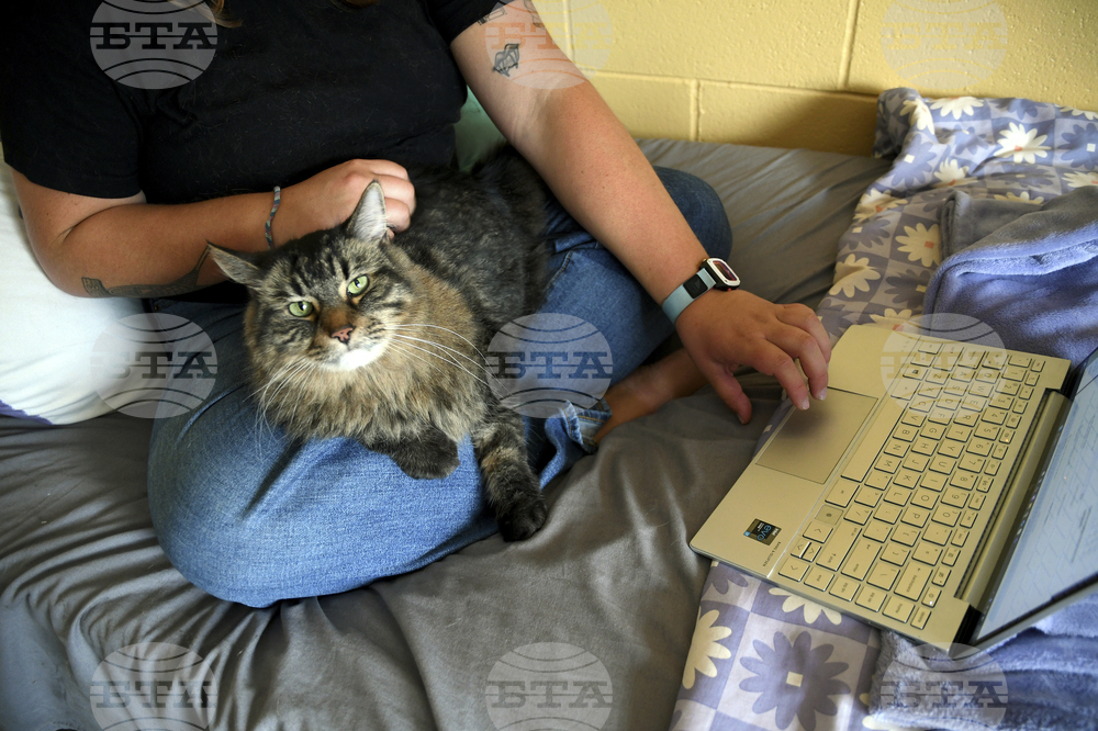 Be Well-Education-Pet-Friendly Dorms
