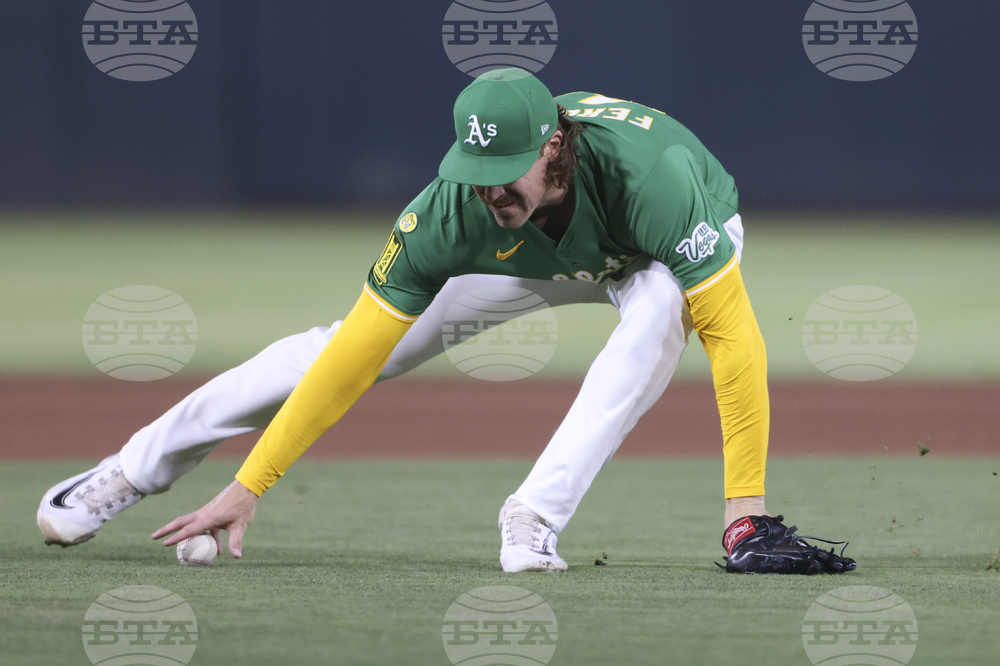 Tigers Athletics Baseball