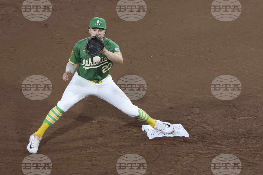 Tigers Athletics Baseball