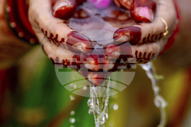 Top Vertical Photos Photo Gallery