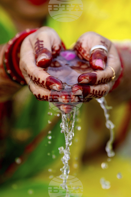 Top Vertical Photos Photo Gallery