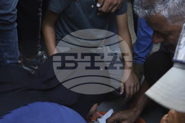 Top Vertical Photos Photo Gallery