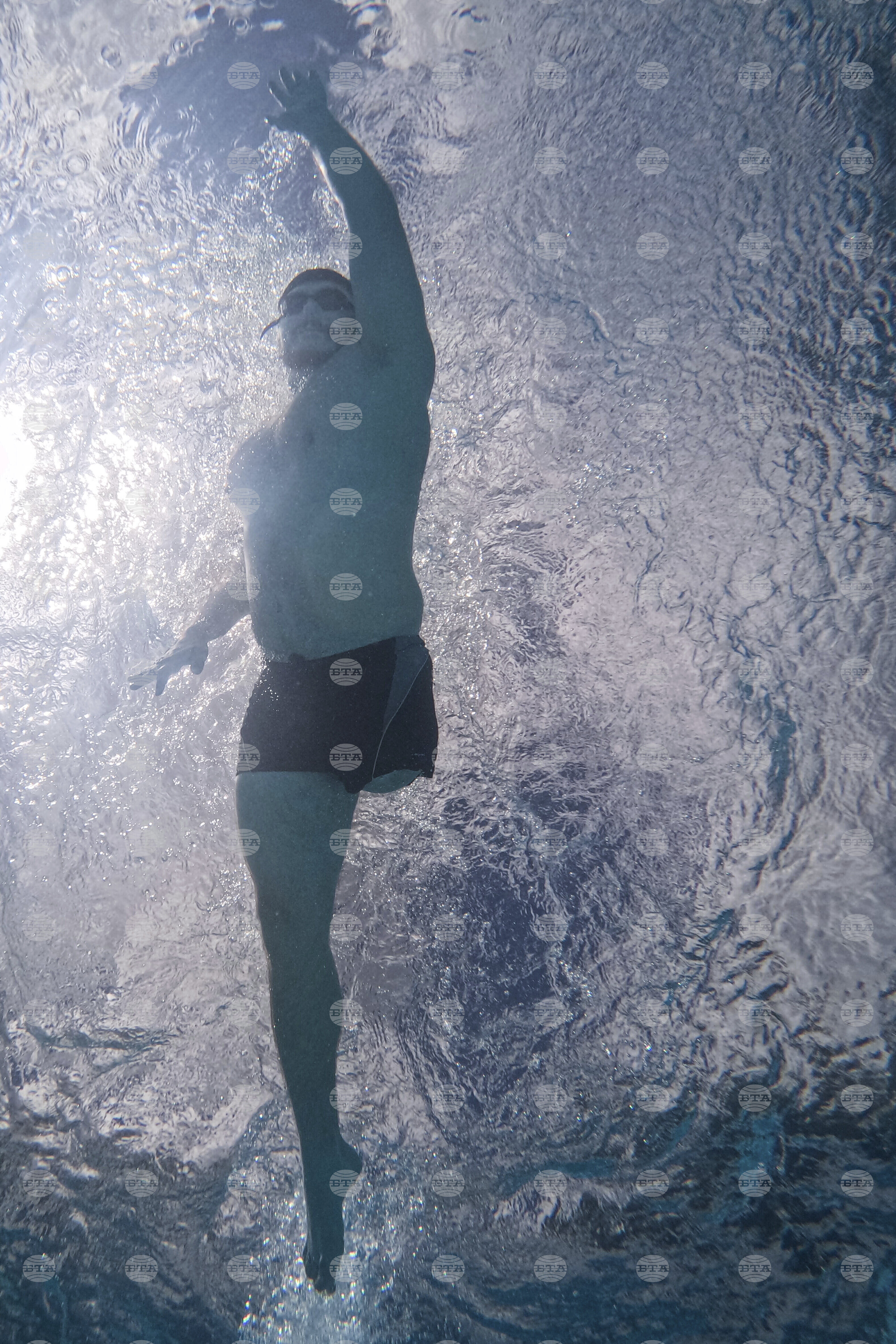 Top Vertical Photos Photo Gallery