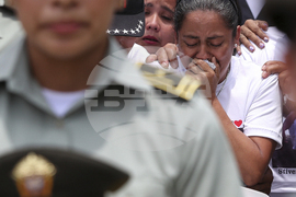 Top Vertical Photos Photo Gallery