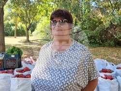 Добрич - изложение - "Селското стопанство и всичко за него"