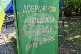 Добрич - изложение - "Селското стопанство и всичко за него"