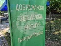 Добрич - изложение - "Селското стопанство и всичко за него"