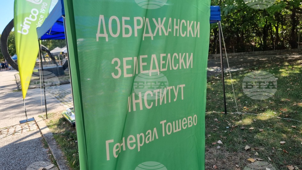 Добрич - изложение - "Селското стопанство и всичко за него"