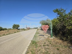 Ново село - Общински съвет - заседание - решения