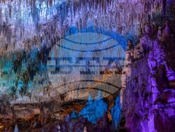 Снимка: Община Шумен