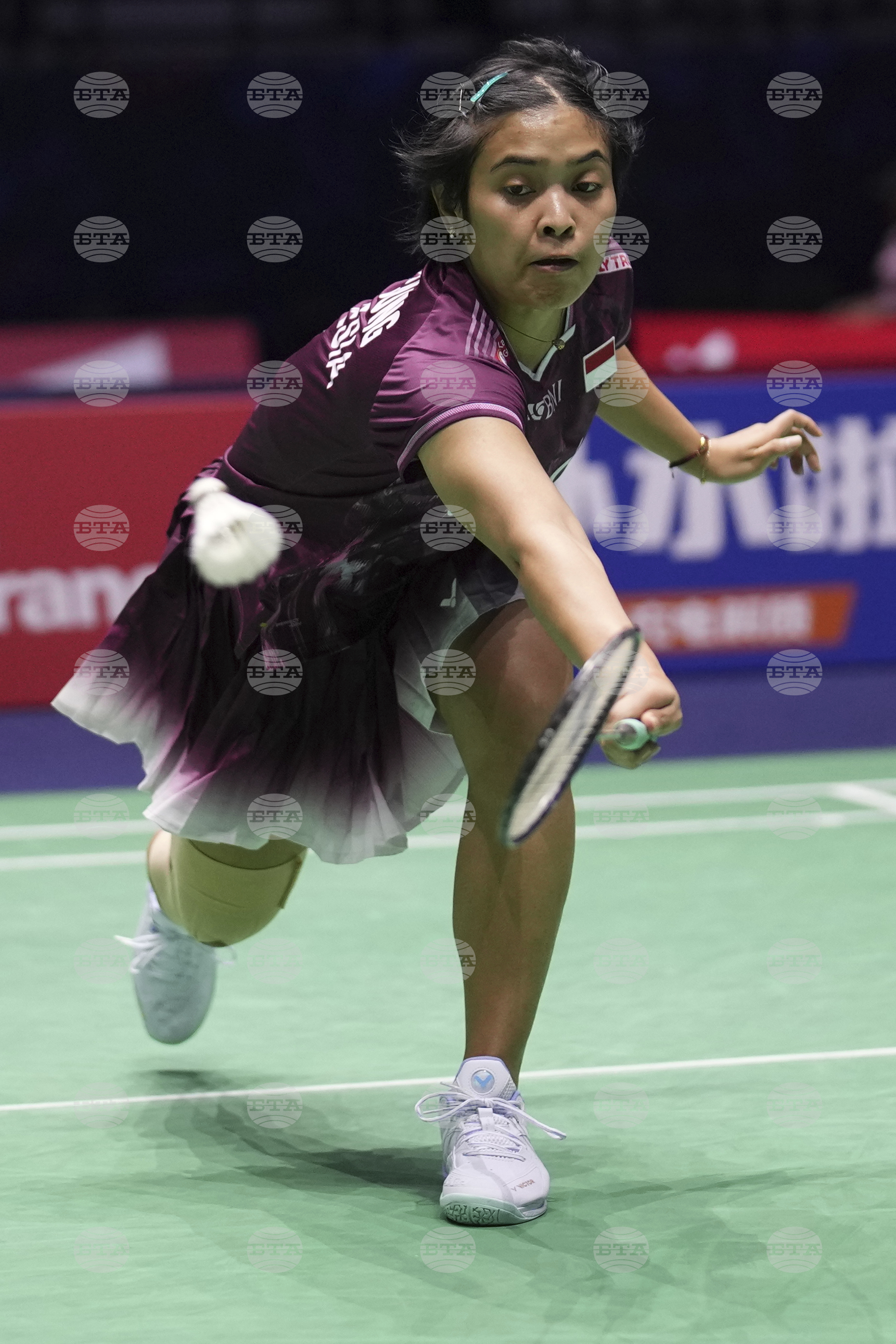 France Badminton World Championships