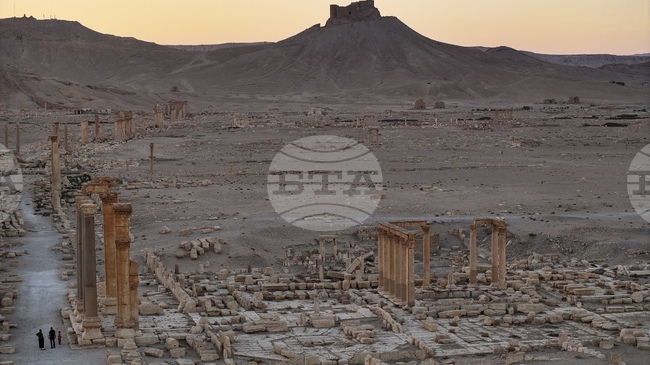 Турция осъди терористичната атака в Сирия, в която бяха убити трима американци