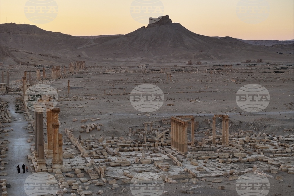 Syria Palmyra