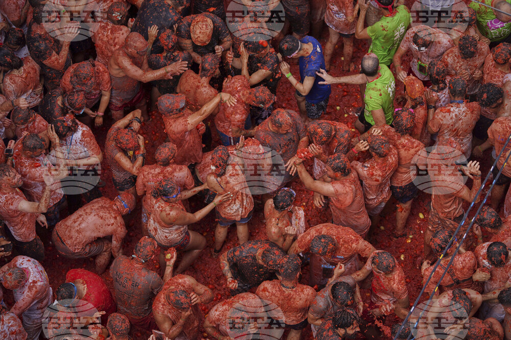 Spain Tomatina