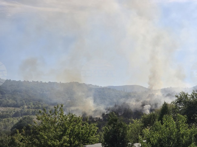 Пожар пламна в махала на благоевградското село Селище