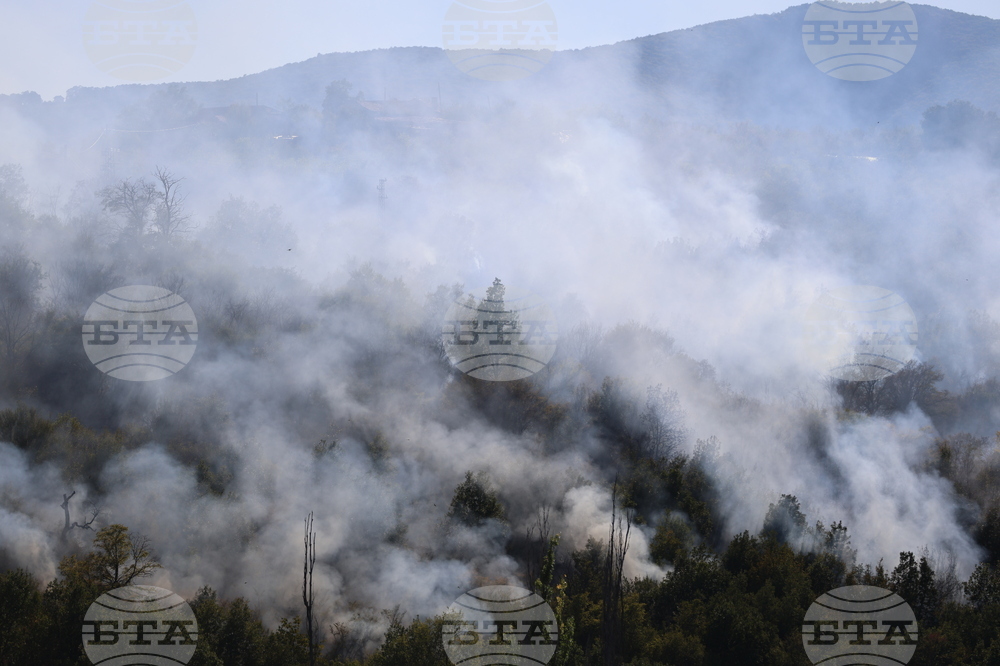 Продължава гасенето на пожара край Якоруда, към момента ситуацията е спокойна, каза за БТА кметът Мехмед Вакльов