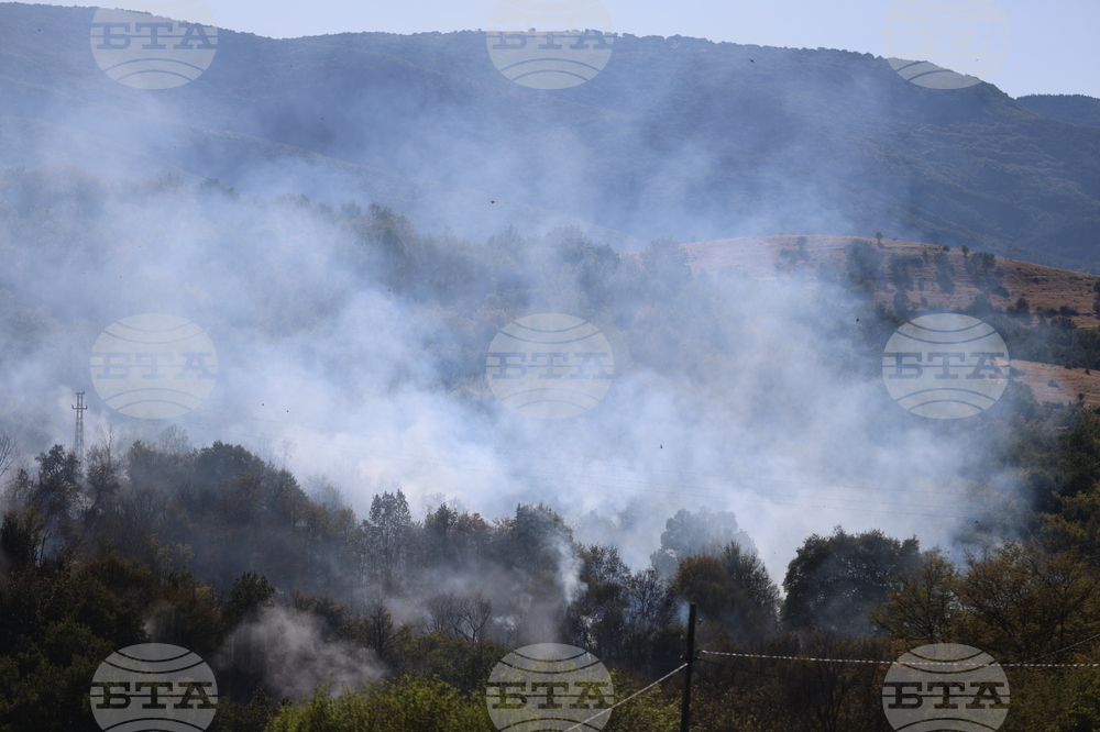 Село Селище - пожар