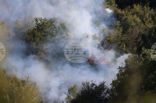 Пожар е възникнал в местност край Якоруда