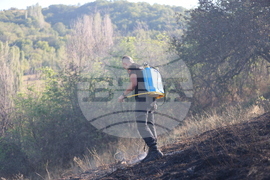 Село Селище - пожар