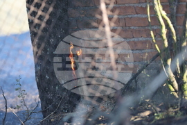 Село Селище - пожар