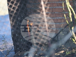 Село Селище - пожар