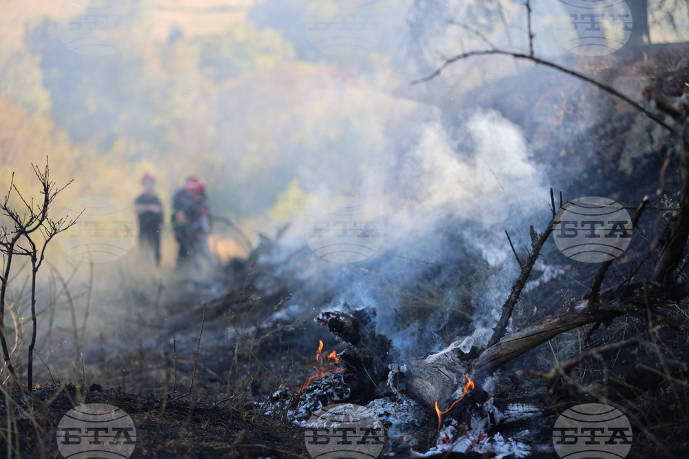 Bulgaria Is among EU Countries Most Affected by Forest Fires in 2024