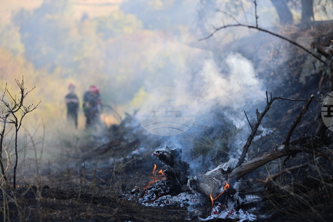 Bulgaria Is among EU Countries Most Affected by Forest Fires in 2024