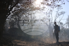 Село Селище - пожар