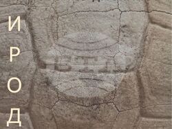  Бургаският художник Стойко Даскалов представя натуралната красота в изложбата „Природно“, снимка – СБХ