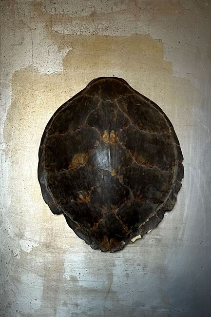  Бургаският художник Стойко Даскалов представя натуралната красота в изложбата „Природно“