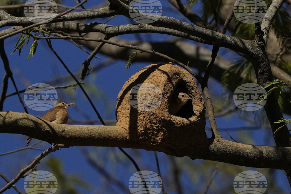 Brazil Nature Reserve