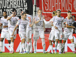 Germany Soccer Germany Cup