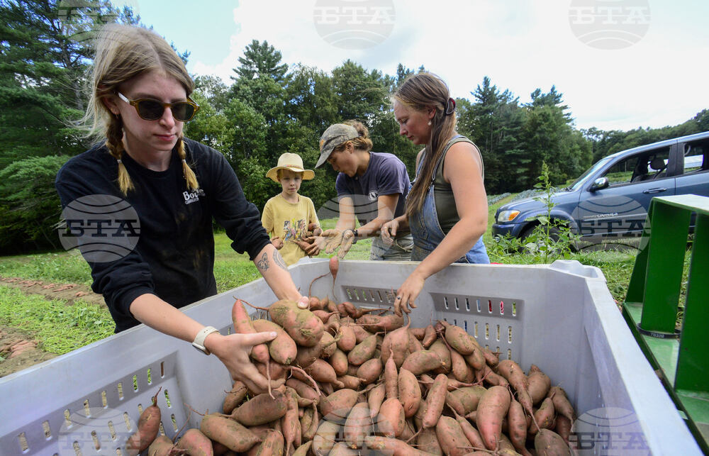 Vermont Daily Life