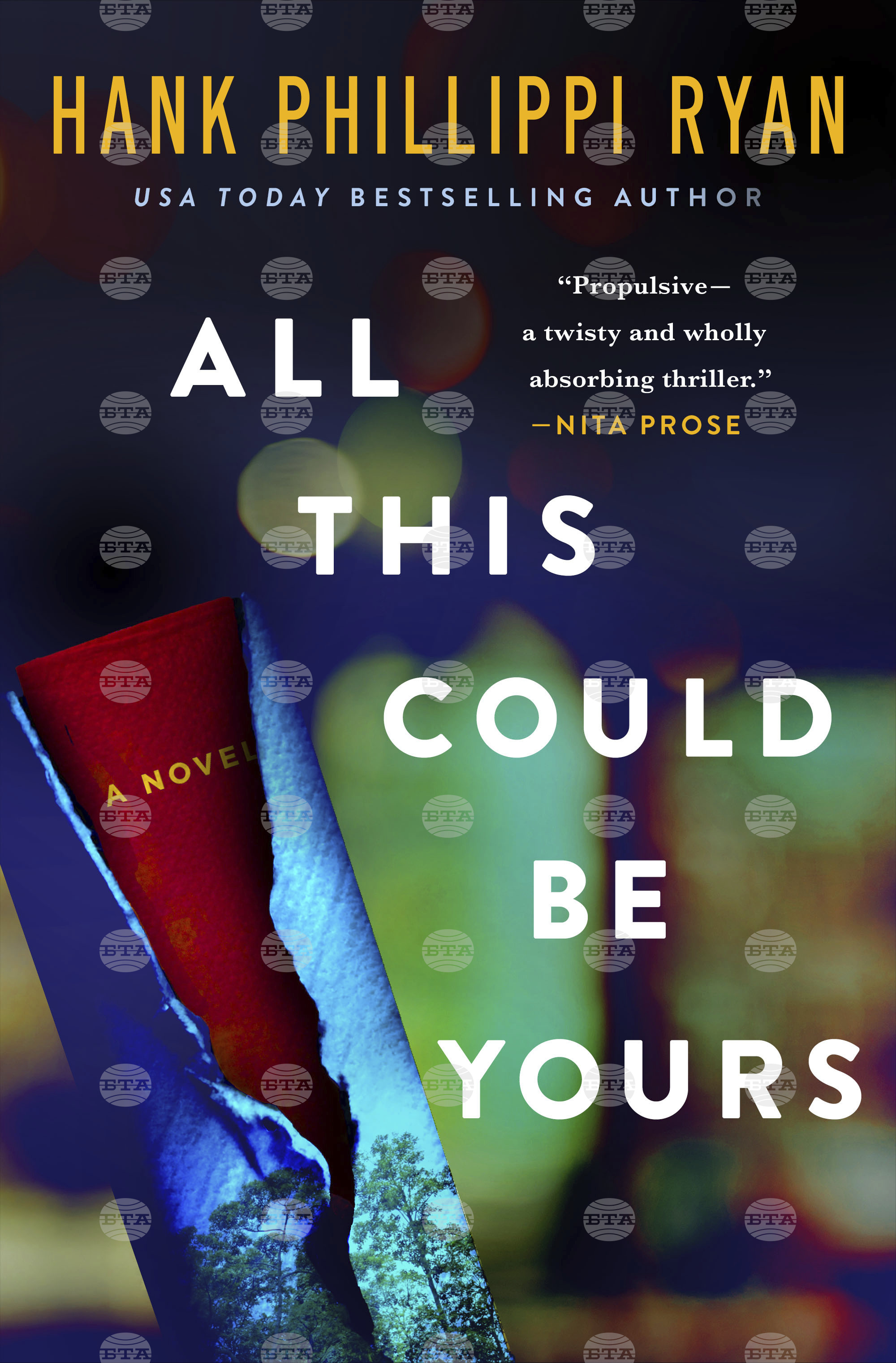 Book Review - All This Could Be Yours