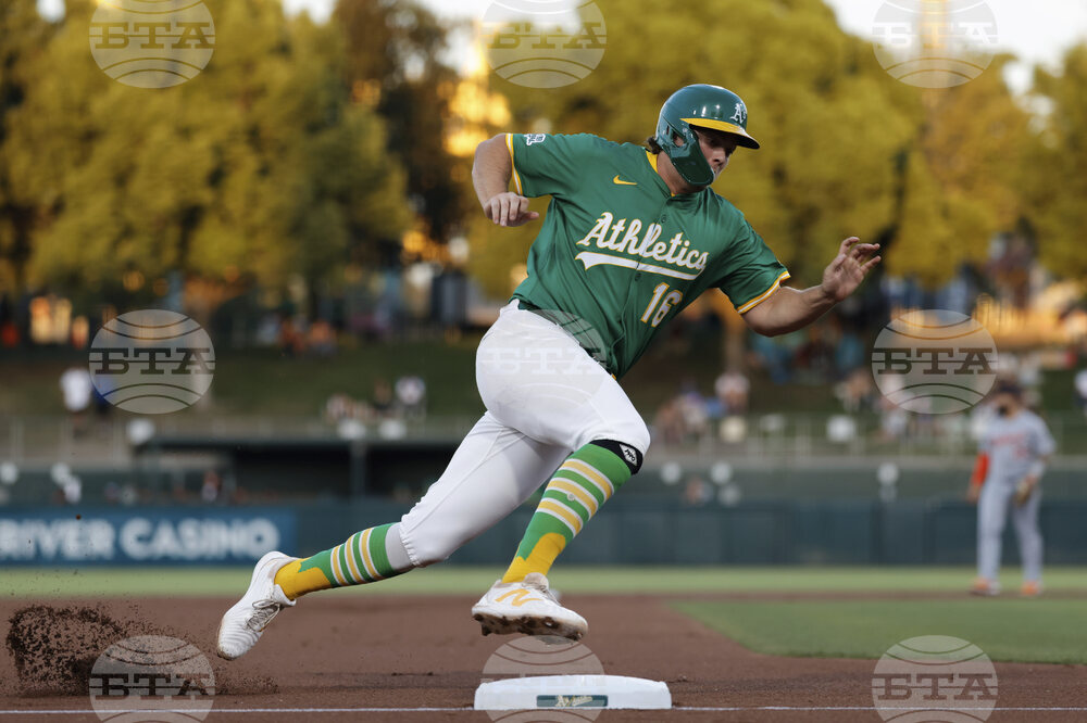Tigers Athletics Baseball