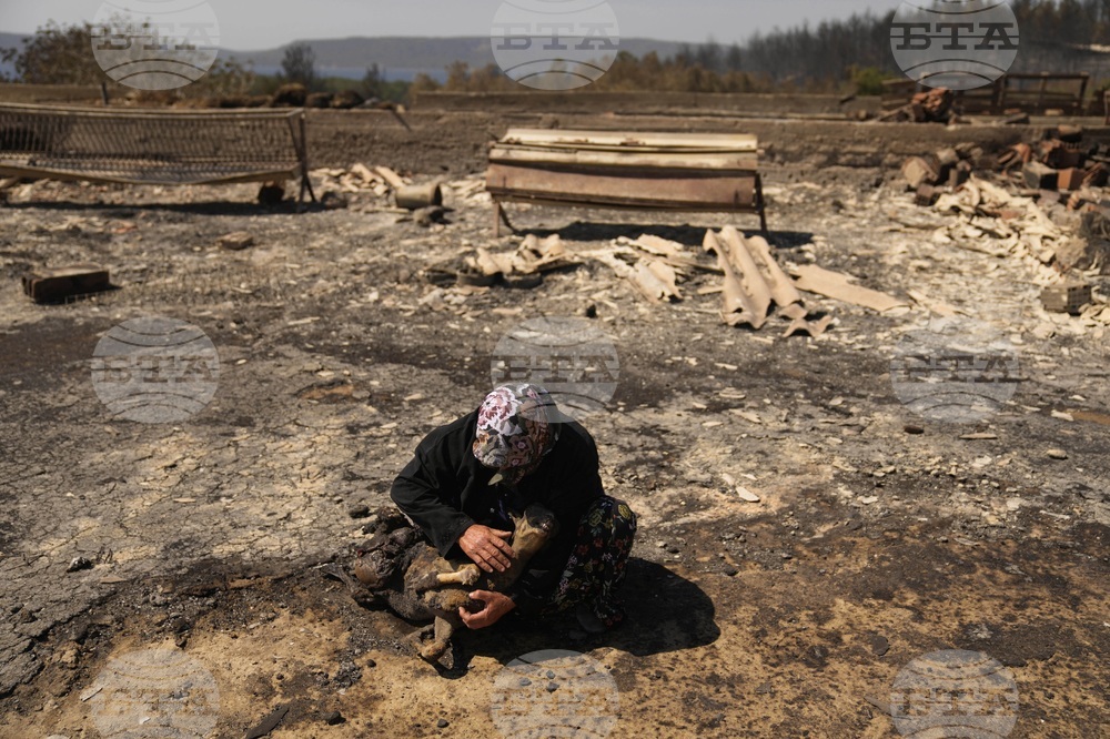 Climate Change Wildfires