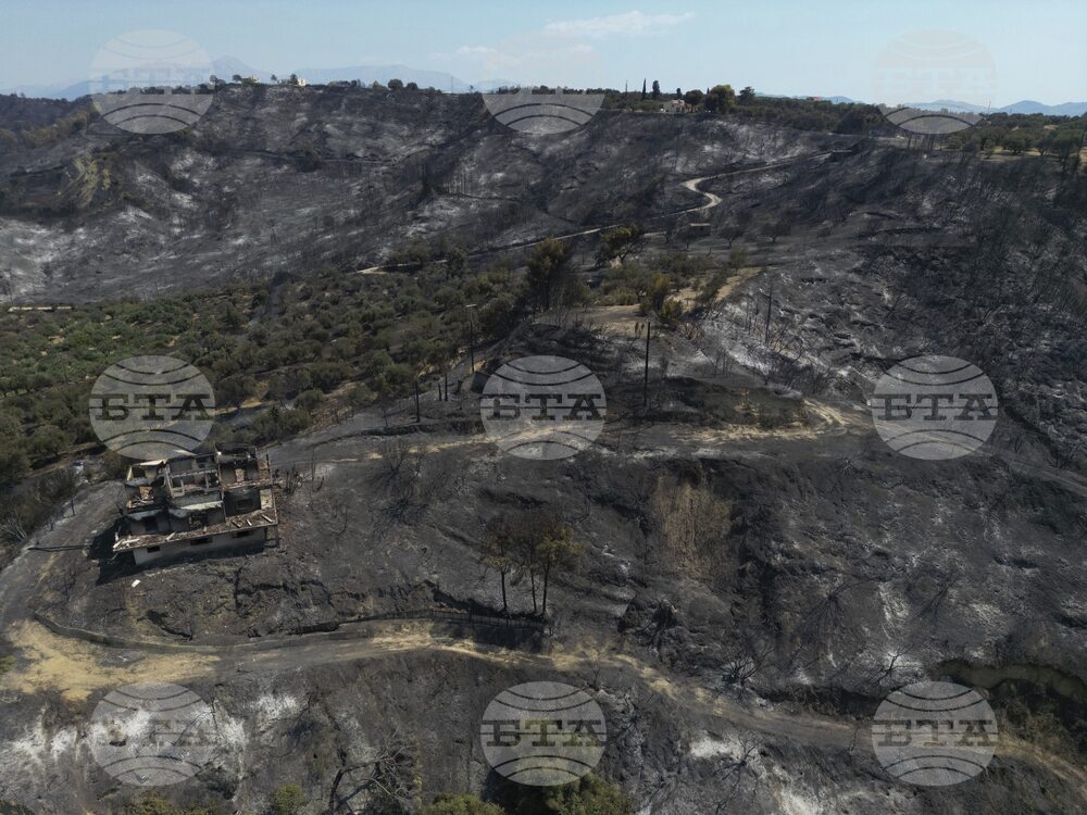 Climate Change Wildfires